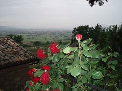 Assisi Camere da Anna Maria