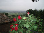 Assisi Camere da Anna Maria