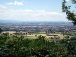 Assisi Camere da Anna Maria